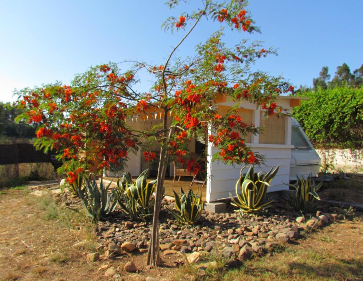 Nova Alofa Caravan Моншики Экстерьер фото